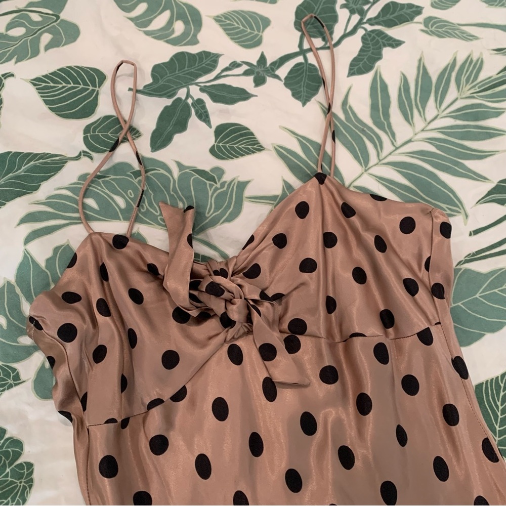Polka dot Zara Silk dress